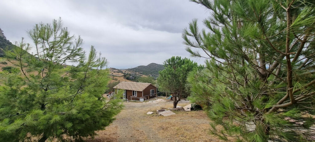 Finca - Cortijo Casares Málaga - imagen 11