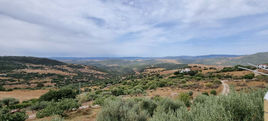 Finca - Cortijo Casares Málaga - imagen 14
