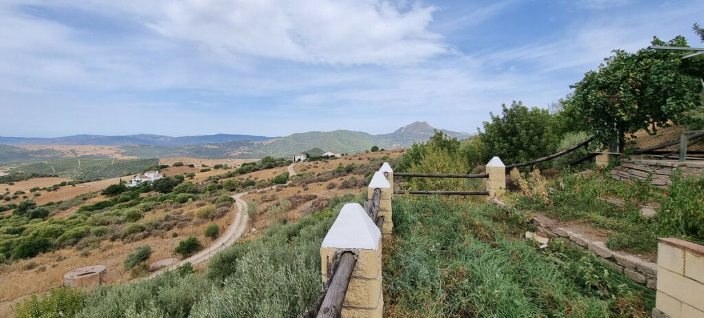 Finca - Cortijo Casares Málaga - imagen 16