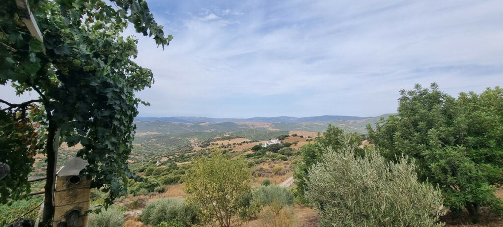 Finca - Cortijo Casares Málaga - imagen 17