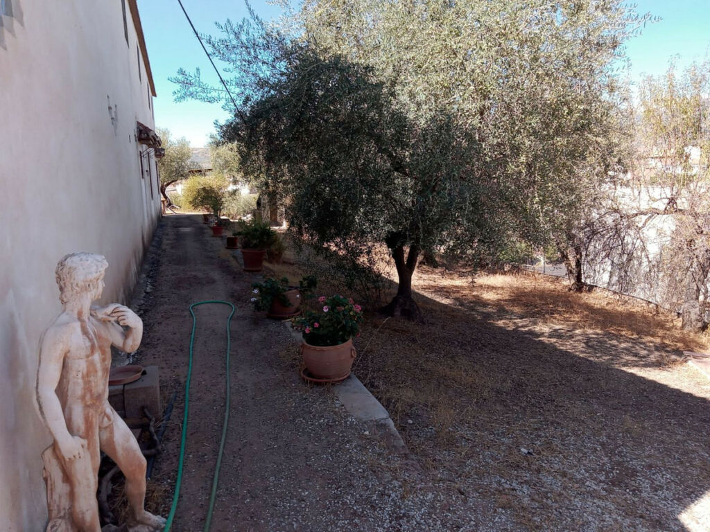 Detached Villa Riogordo Málaga - Bild 50
