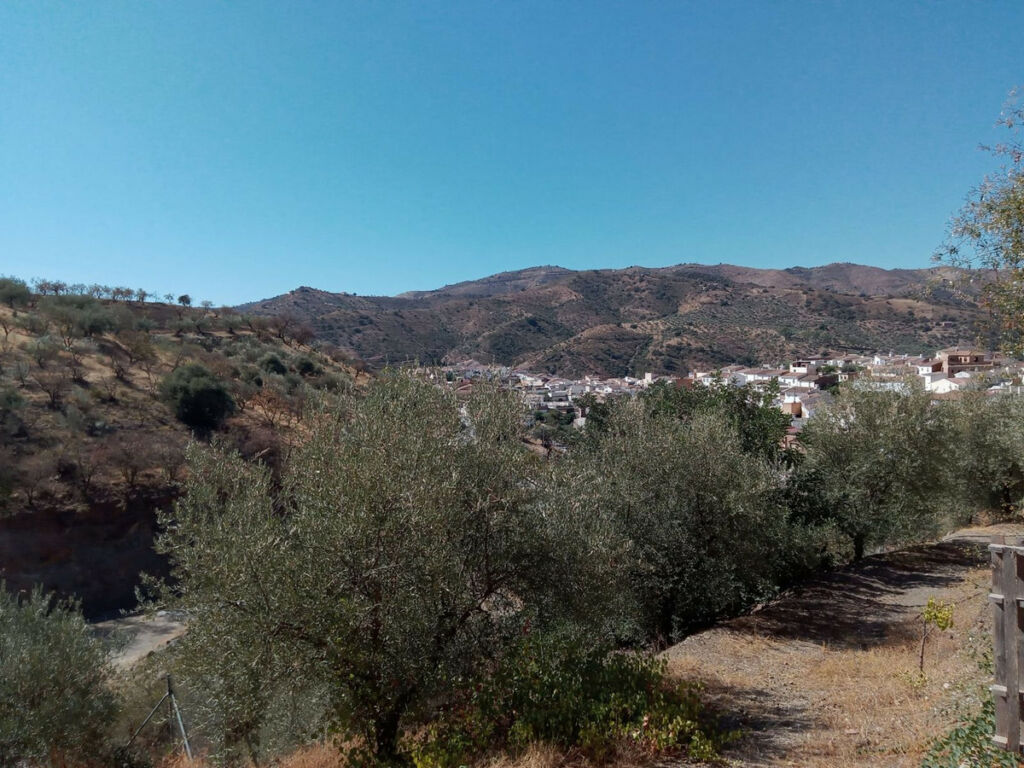 Detached Villa Riogordo Málaga - Bild 64
