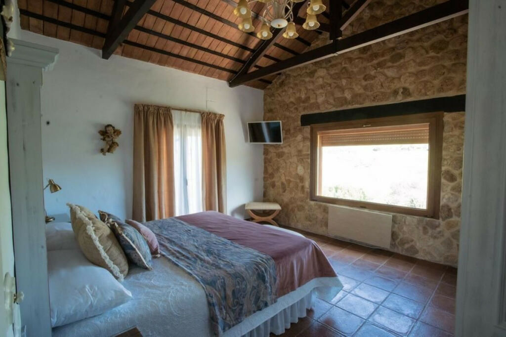 Finca - Cortijo Arcos de la Frontera Cádiz - imagen 18