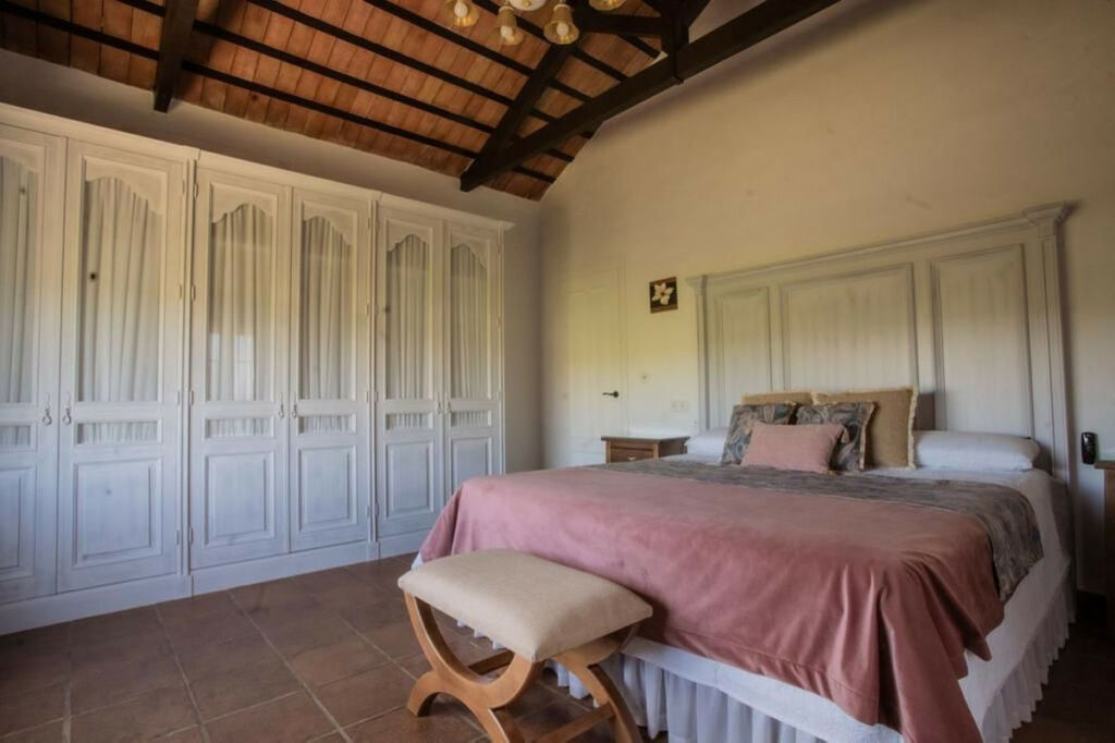 Finca - Cortijo Arcos de la Frontera Cádiz - imagen 19