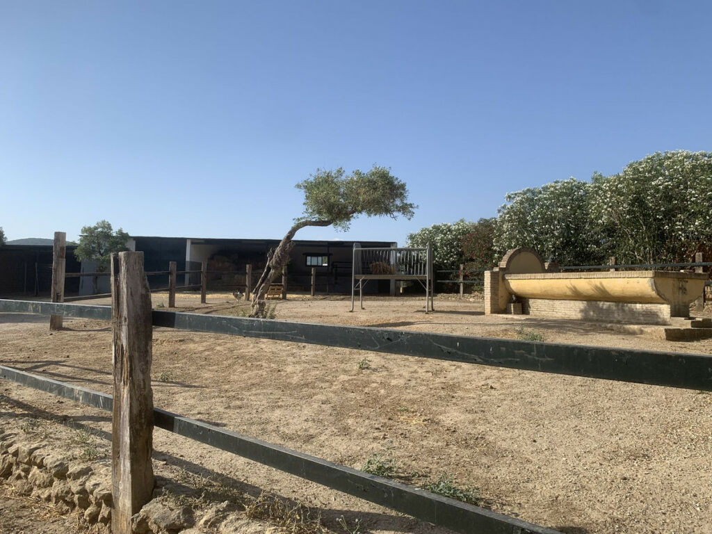 Finca - Cortijo Arcos de la Frontera Cádiz - imagen 39