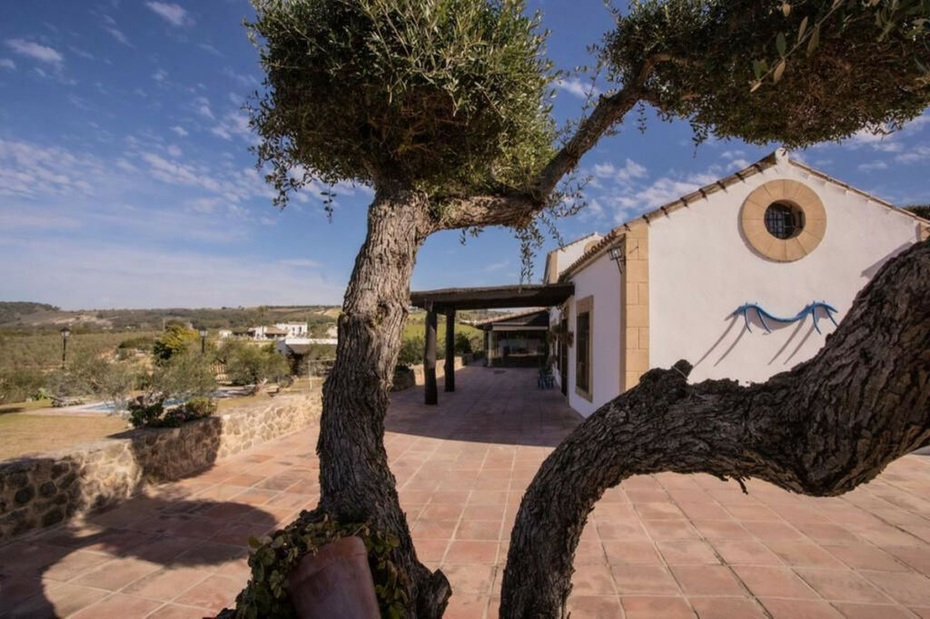 Finca - Cortijo Arcos de la Frontera Cádiz - imagen 4