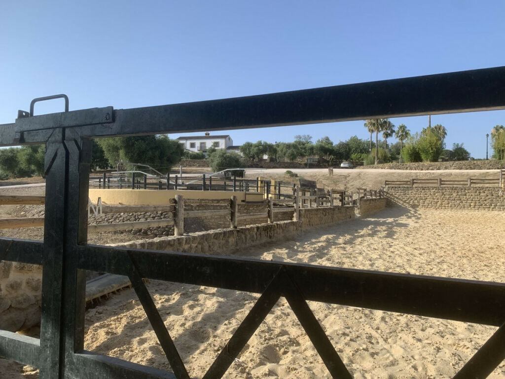 Finca - Cortijo Arcos de la Frontera Cádiz - imagen 44