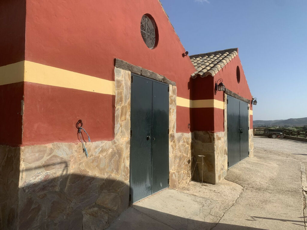Finca - Cortijo Arcos de la Frontera Cádiz - imagen 46