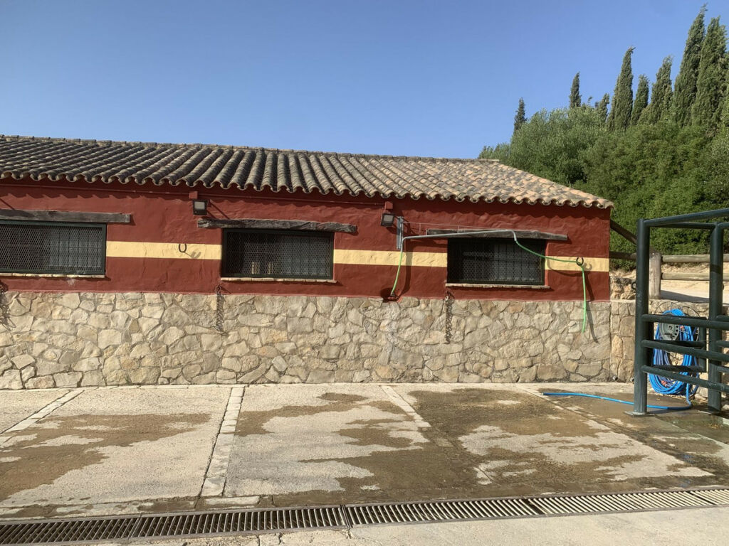 Finca - Cortijo Arcos de la Frontera Cádiz - imagen 48