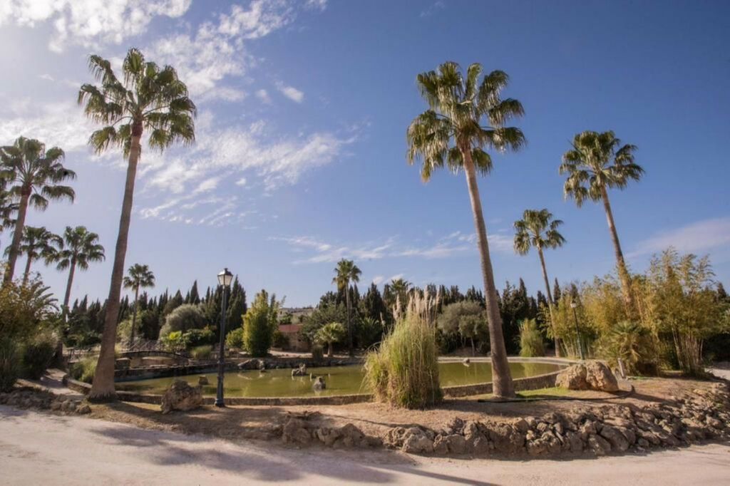 Finca - Cortijo Arcos de la Frontera Cádiz - imagen 59