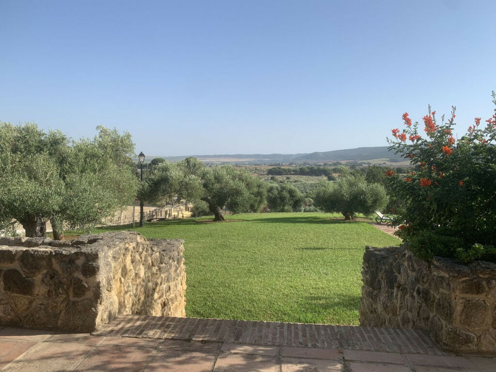 Finca - Cortijo Arcos de la Frontera Cádiz - imagen 6