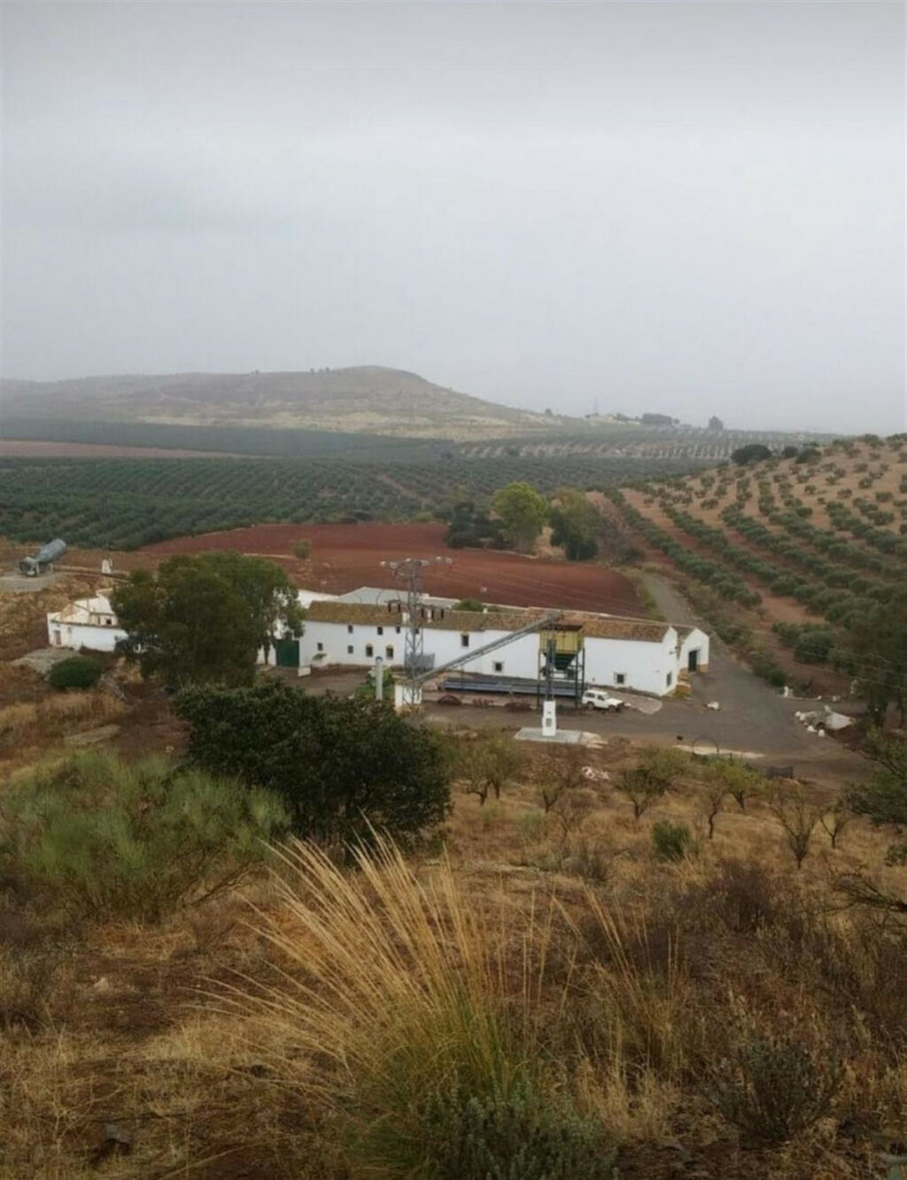 Finca - Cortijo Antequera Málaga - imagen 2
