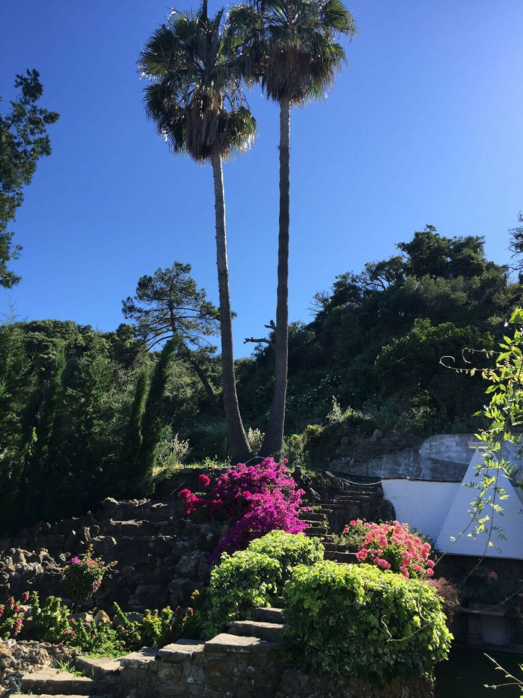 Finca - Cortijo Algeciras Cádiz - zdjęcie 2