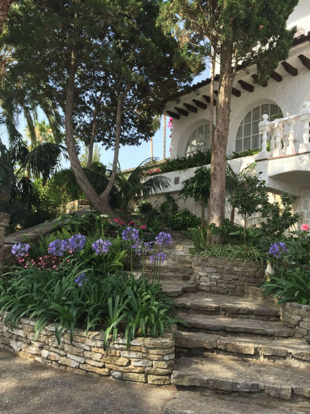 Finca - Cortijo Algeciras Cádiz - zdjęcie 27