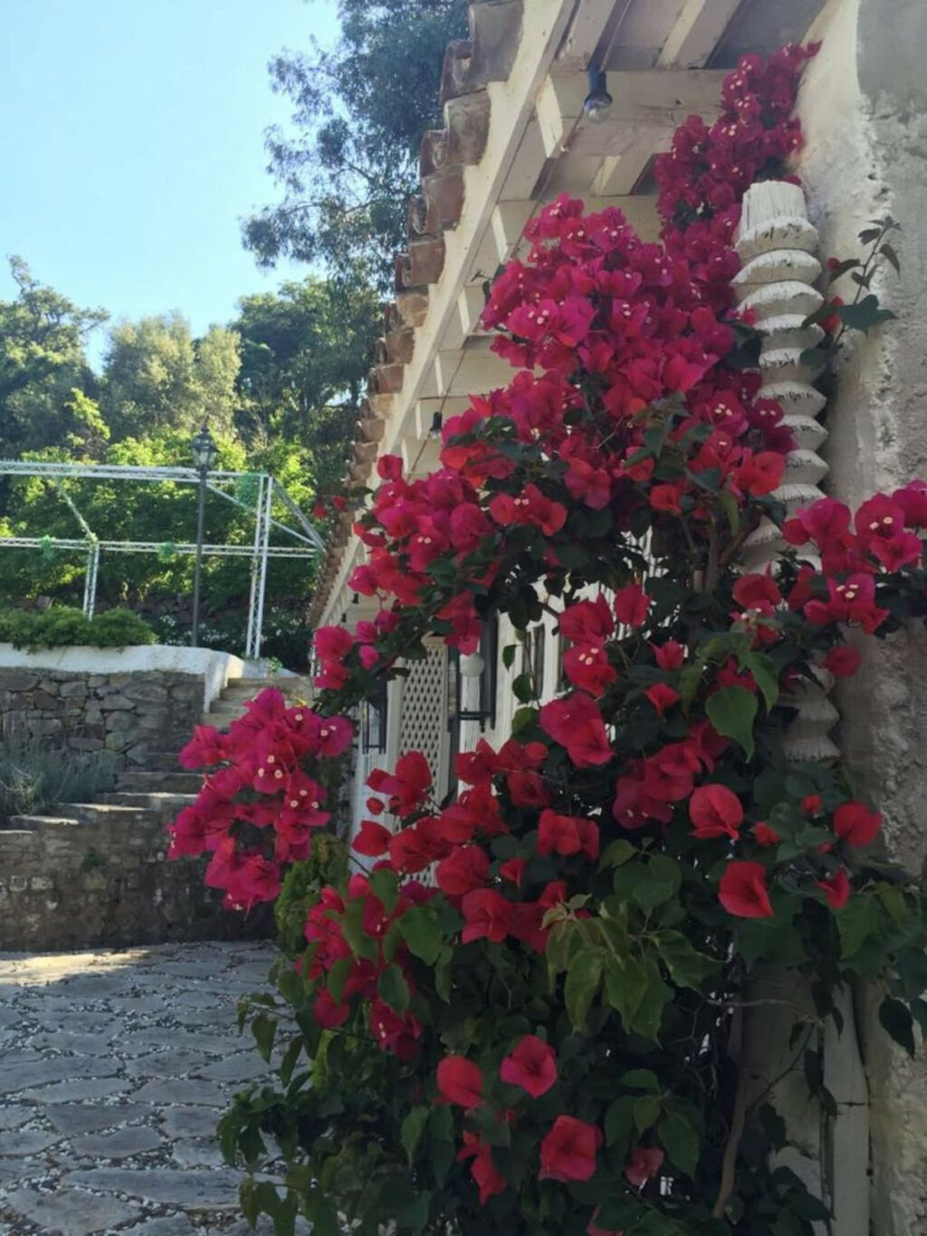 Finca - Cortijo Algeciras Cádiz - zdjęcie 36