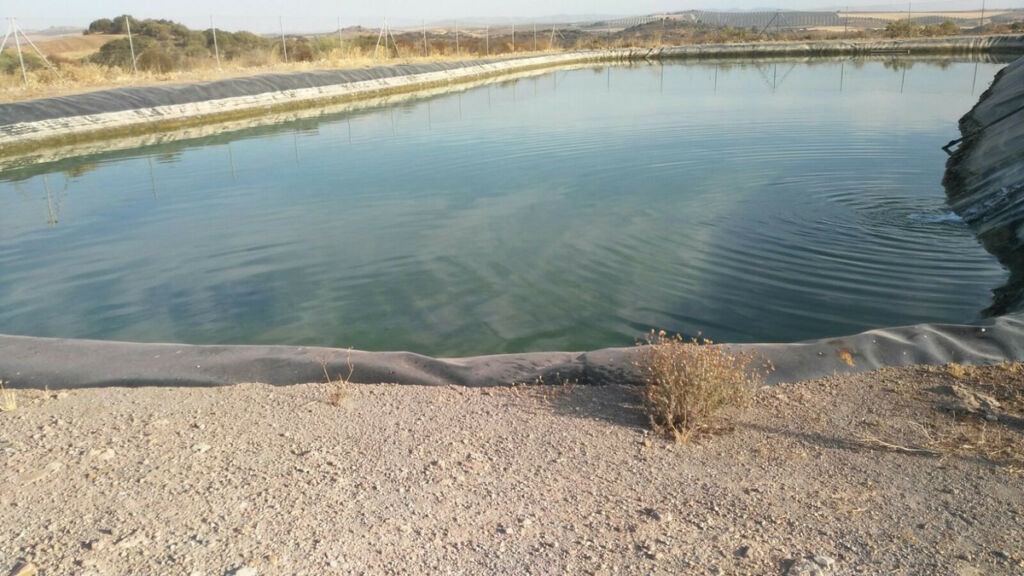Finca - Cortijo Antequera Málaga - imagen 4