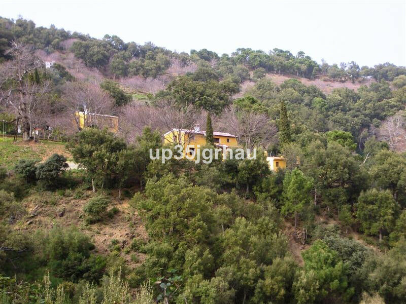 Finca - Cortijo Jubrique Málaga - Bild 9
