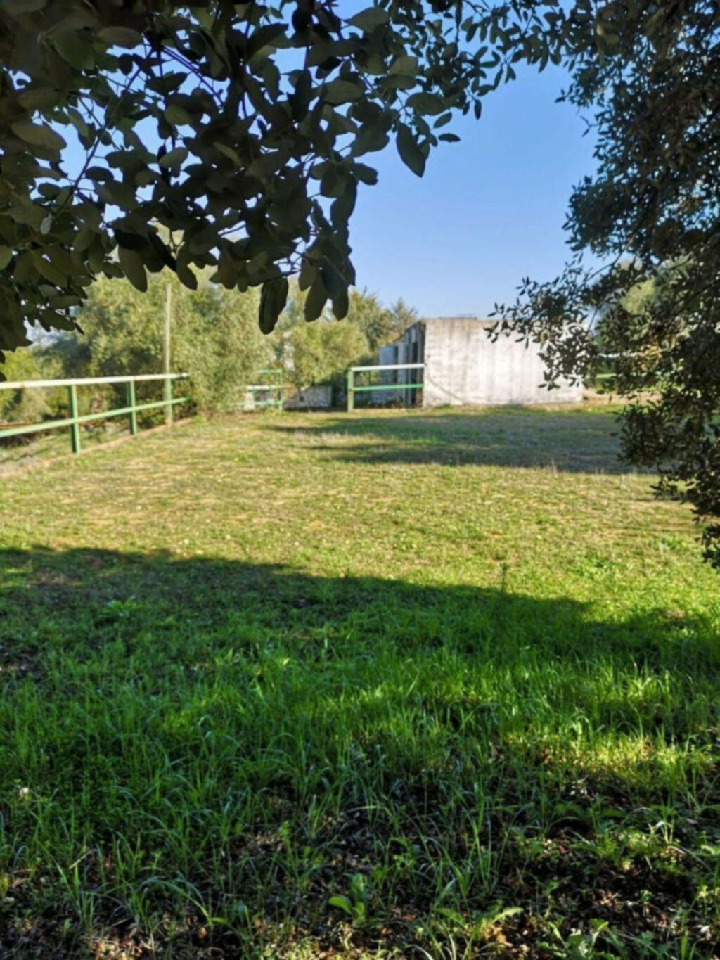 Finca - Cortijo Ronda Málaga - Bild 16