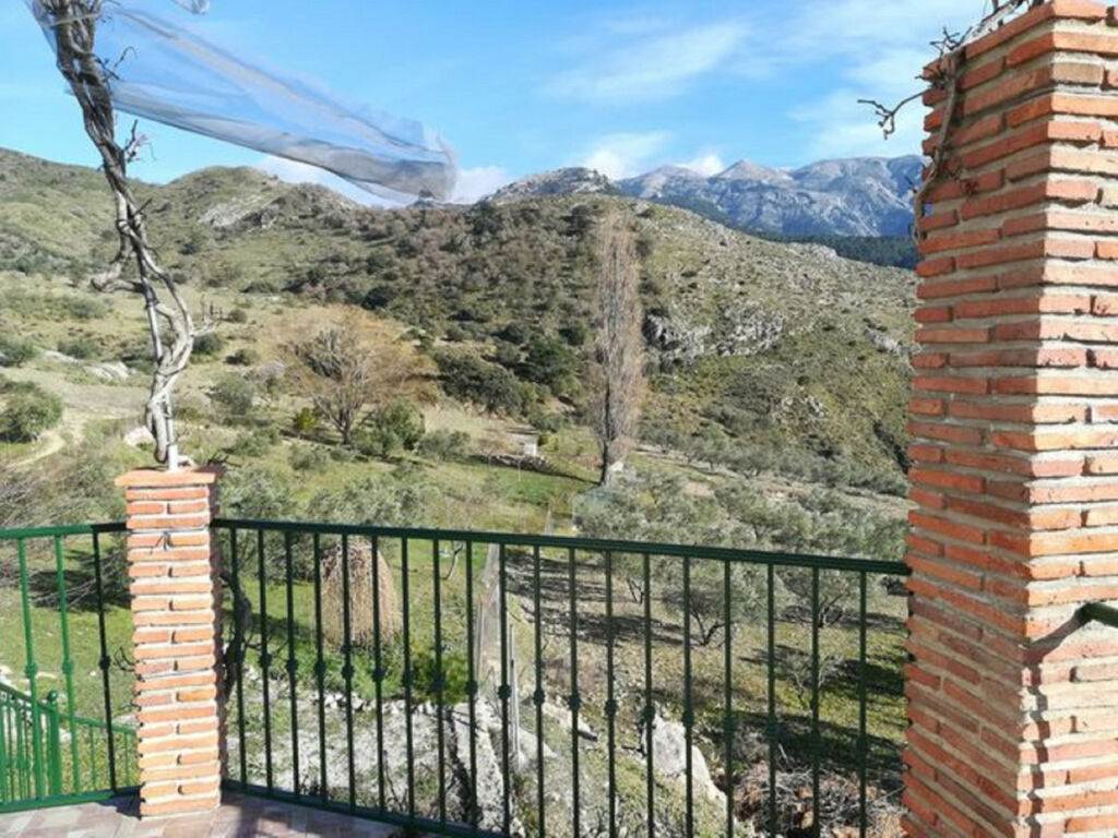 Finca - Cortijo Alcaucín Málaga - Bild 17