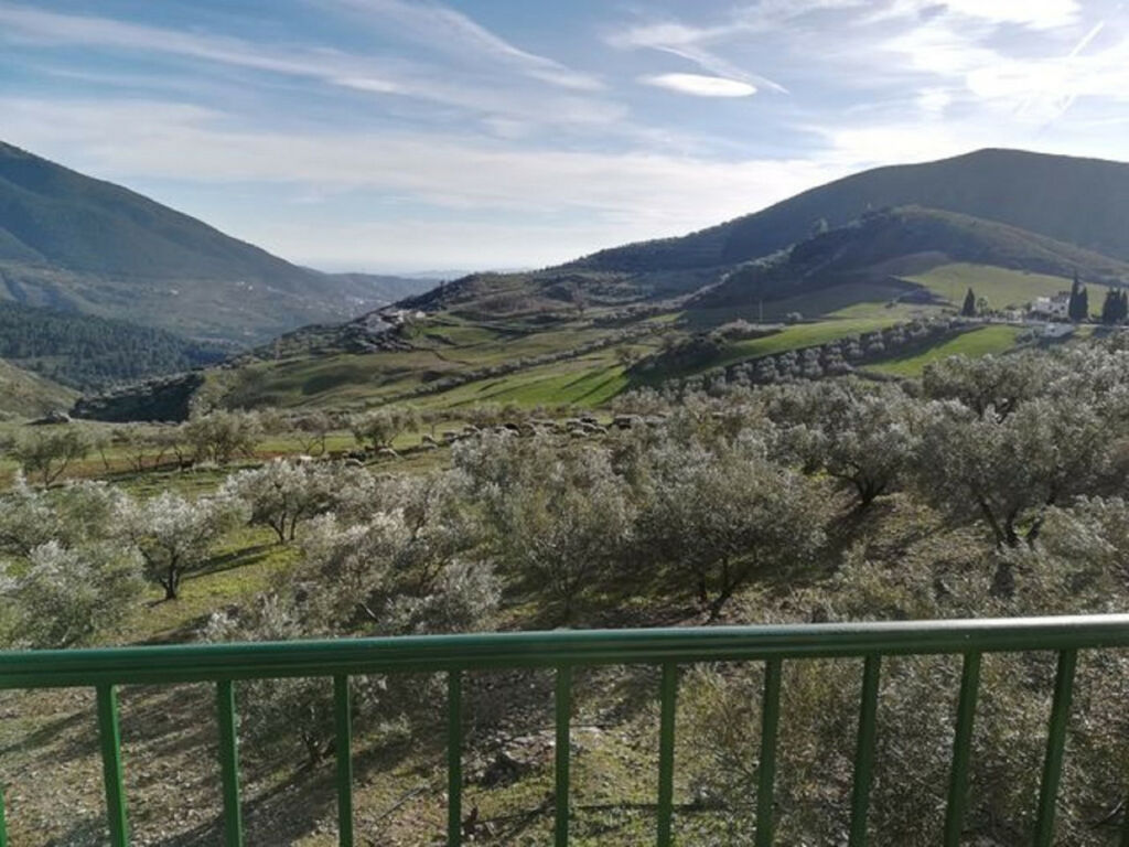 Finca - Cortijo Alcaucín Málaga - Bild 19
