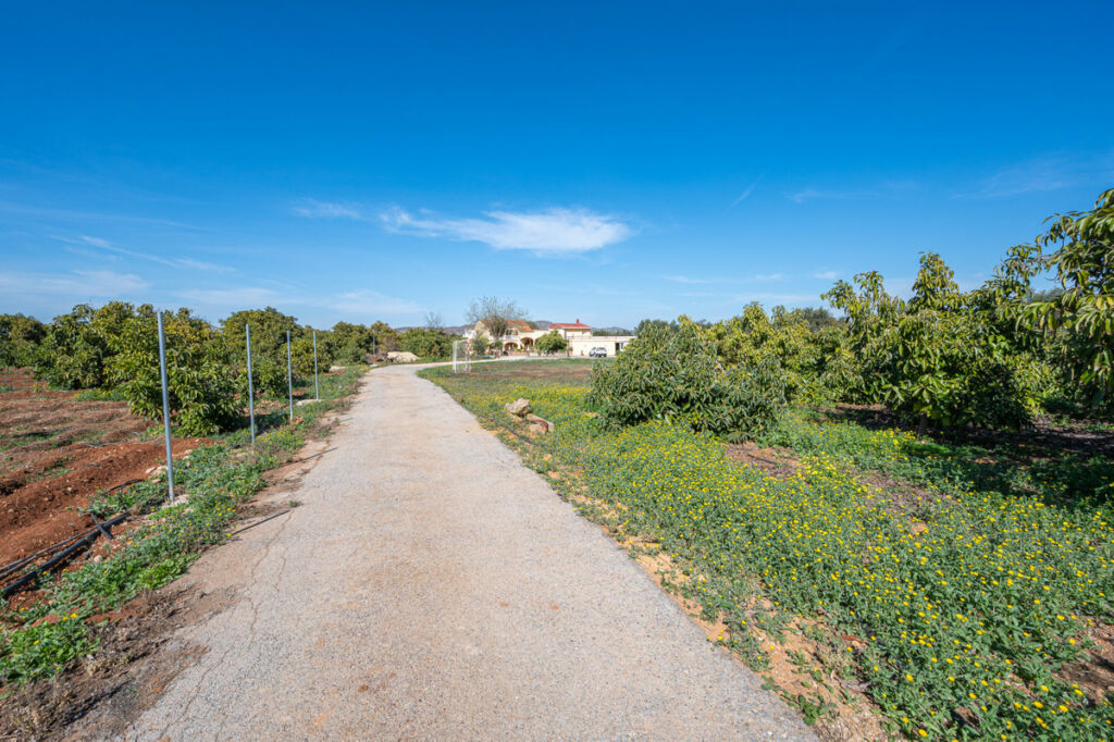 Finca - Cortijo Alhaurín el Grande Málaga - imagen 39