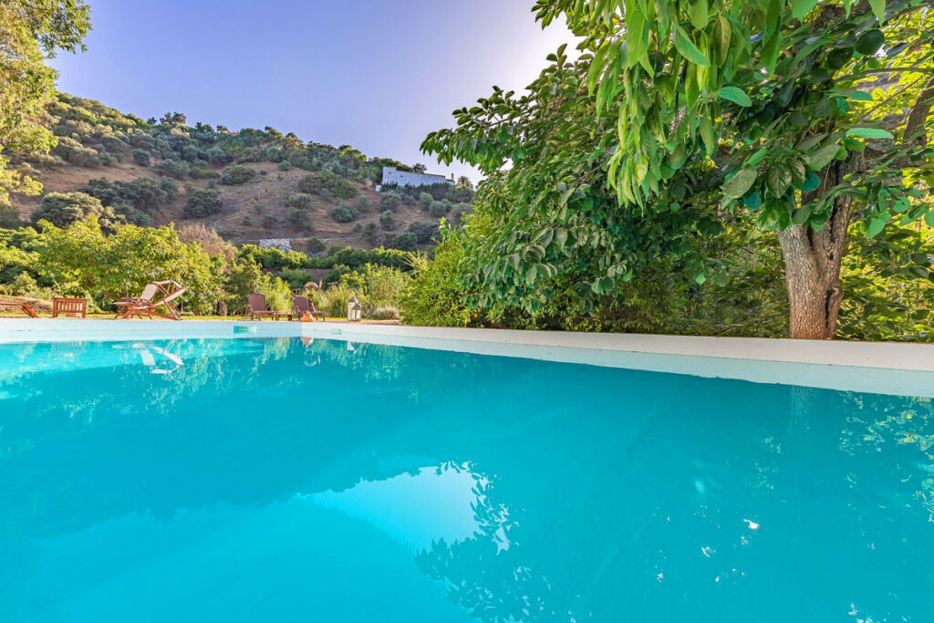 Finca - Cortijo Coín Málaga - Bild 6