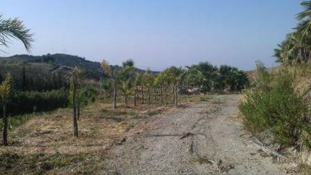 Land Estepona Málaga - Bild 8