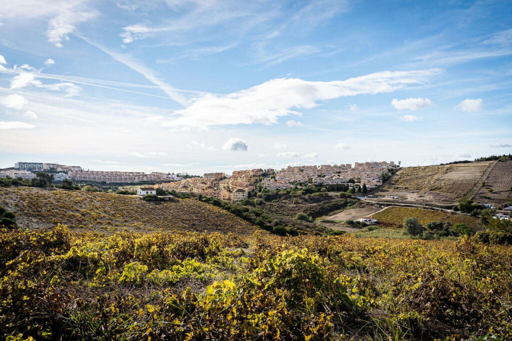 Finca - Cortijo Manilva Málaga - imagen 11