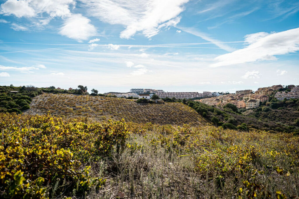 Finca - Cortijo Manilva Málaga - imagen 12