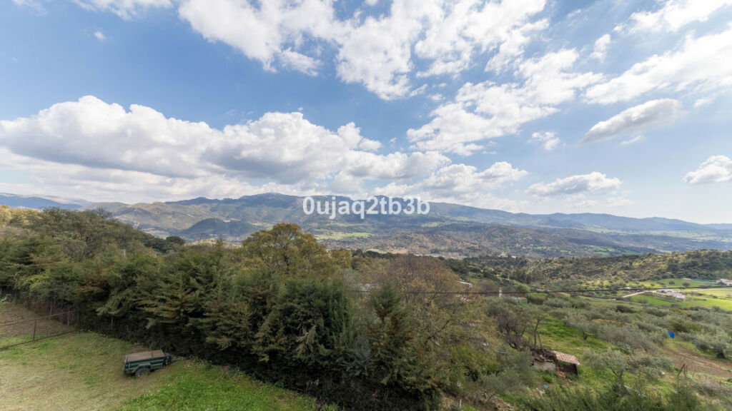 Finca - Cortijo Cortes de la Frontera Málaga - imagen 13