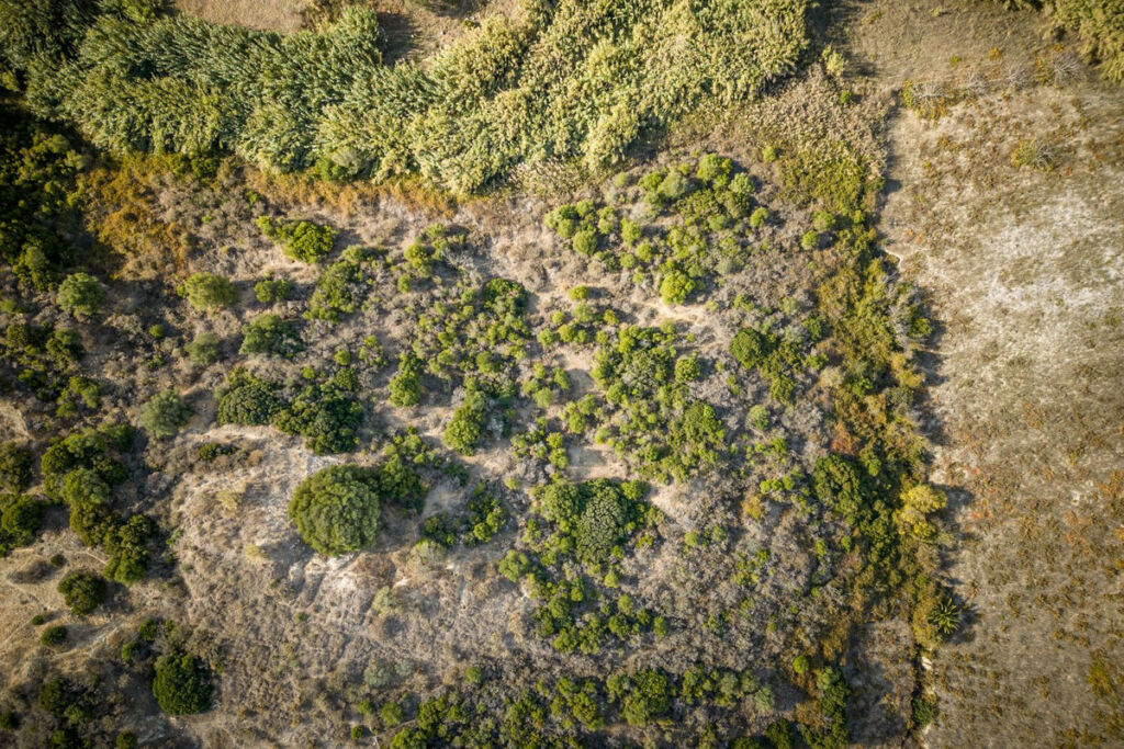Finca - Cortijo Manilva Málaga - imagen 15