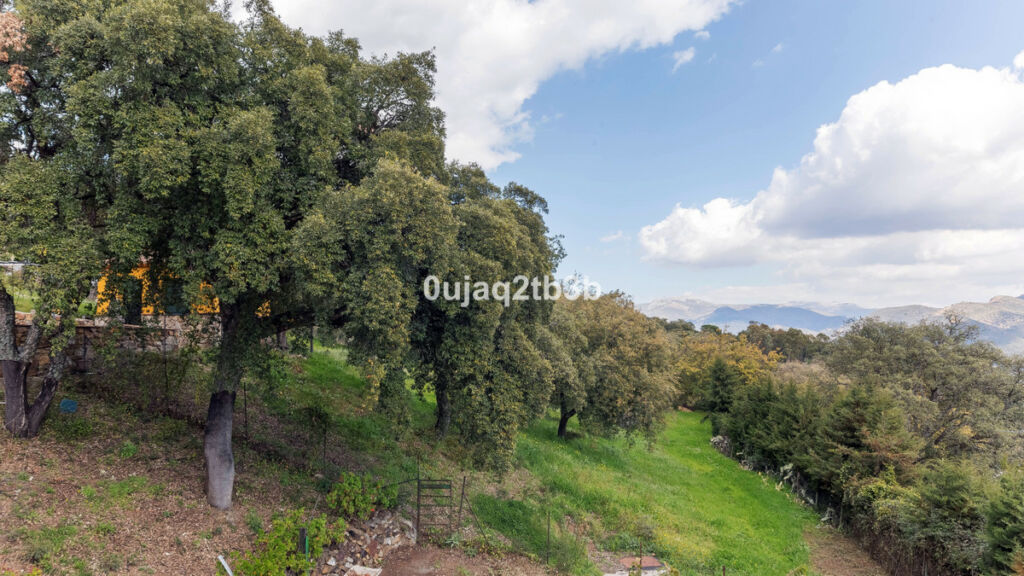 Finca - Cortijo Cortes de la Frontera Málaga - imagen 18