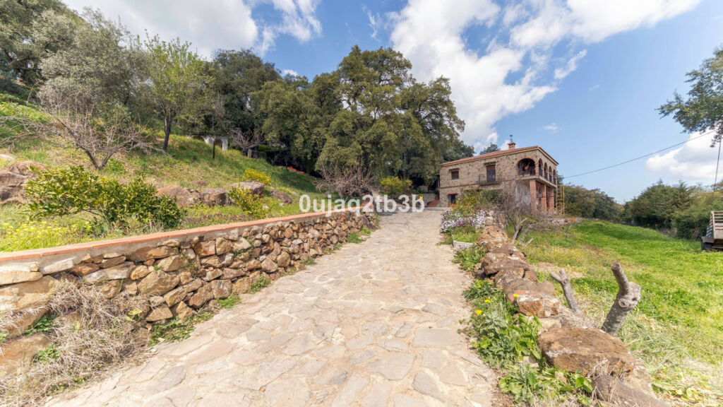 Finca - Cortijo Cortes de la Frontera Málaga - imagen 20
