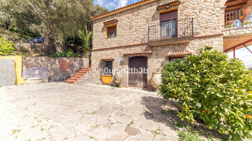 Finca - Cortijo Cortes de la Frontera Málaga - imagen 21