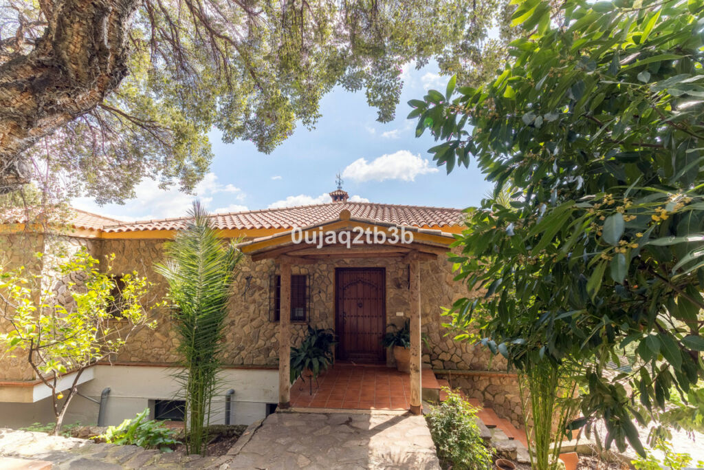 Finca - Cortijo Cortes de la Frontera Málaga - imagen 3