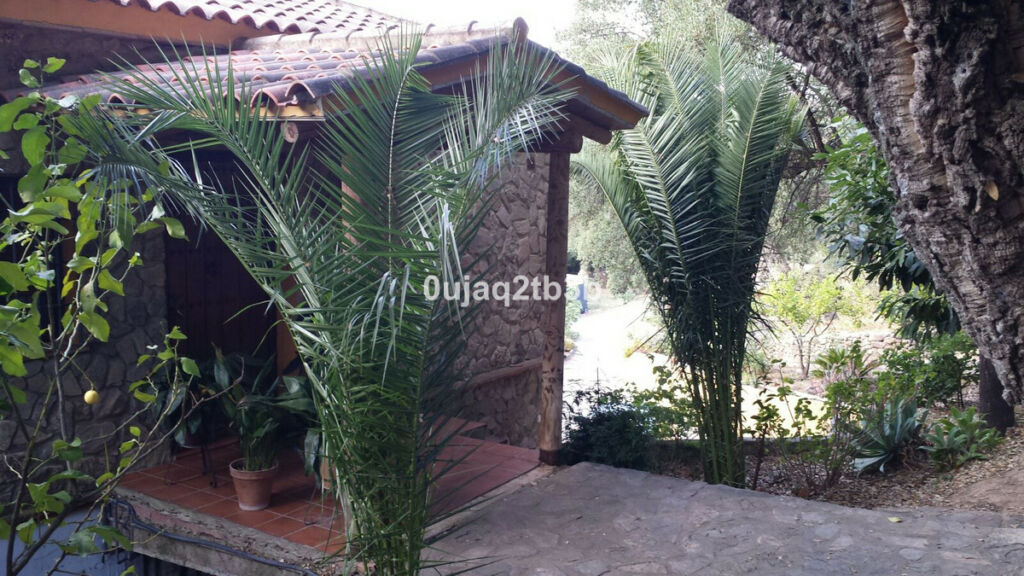 Finca - Cortijo Cortes de la Frontera Málaga - imagen 31