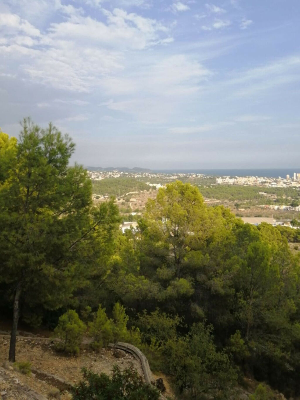 Detached Villa Calpe Alicante - imagen 4