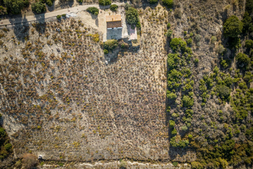 Finca - Cortijo Manilva Málaga - imagen 5