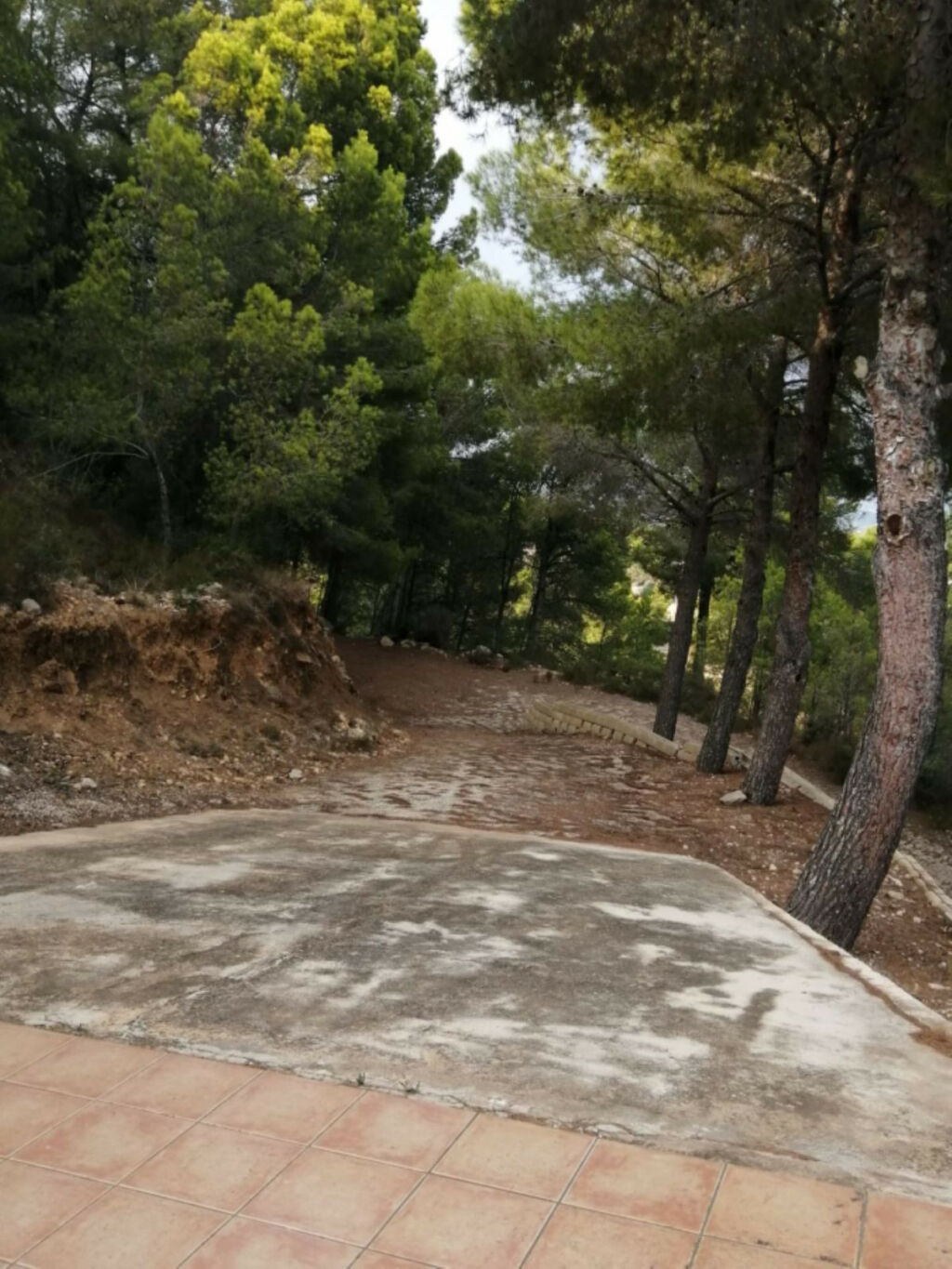 Detached Villa Calpe Alicante - imagen 6