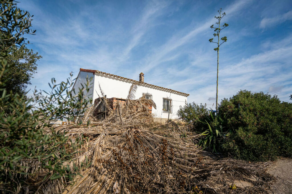 Finca - Cortijo Manilva Málaga - imagen 8