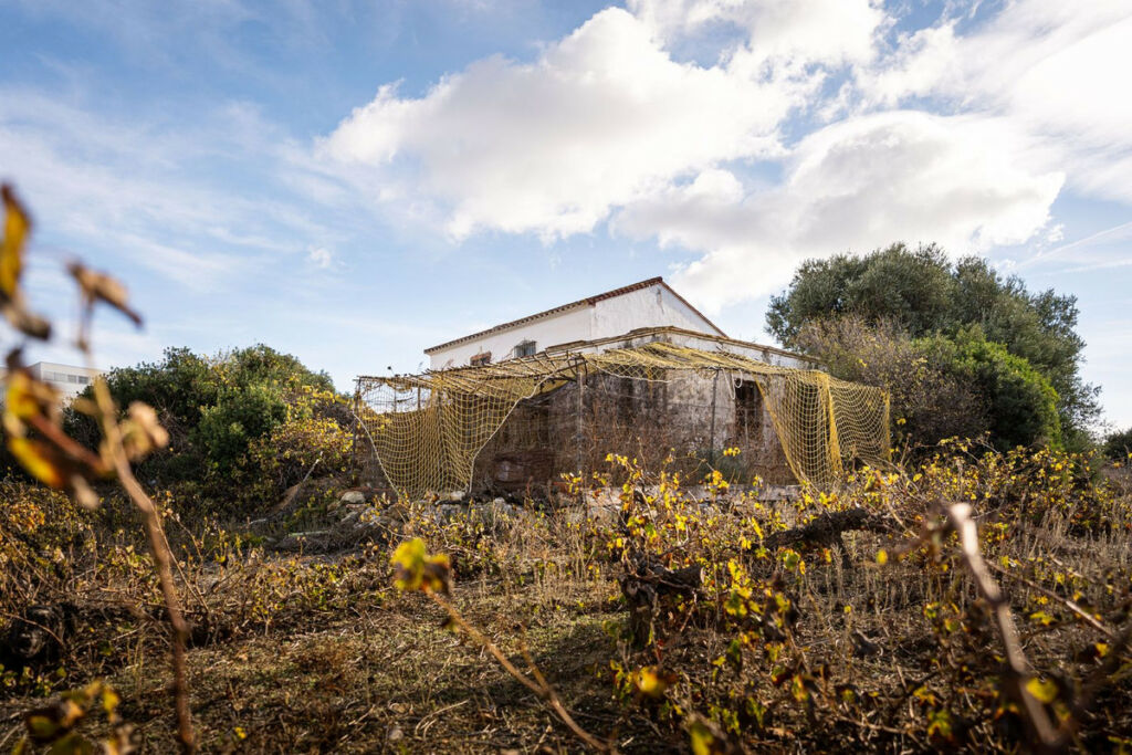 Finca - Cortijo Manilva Málaga - imagen 9