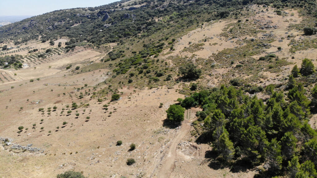 Land Ronda Málaga - Bild 15