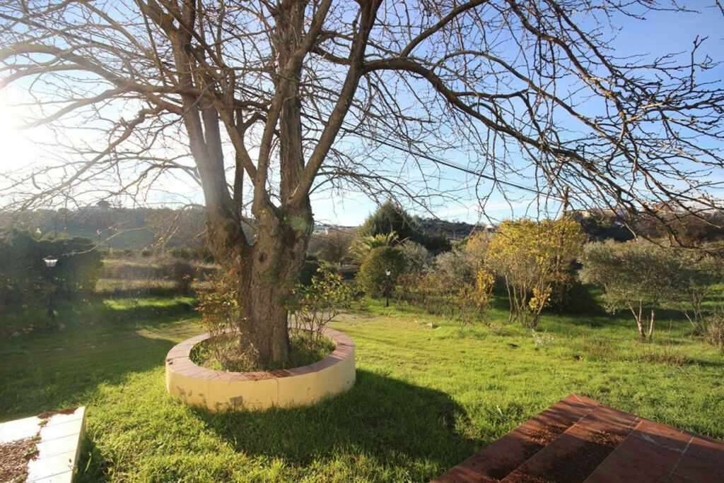 Finca - Cortijo Ronda Málaga - imagen 22