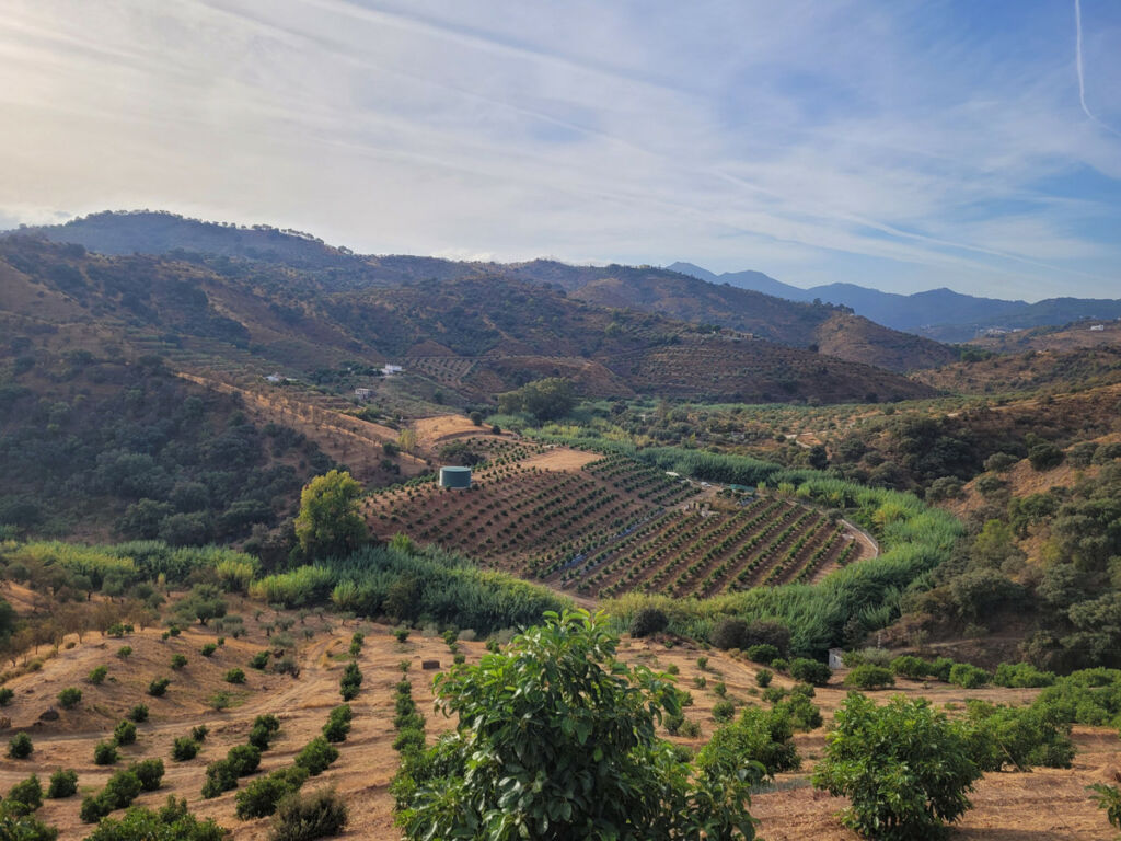 Land Guaro Málaga - imagen 4