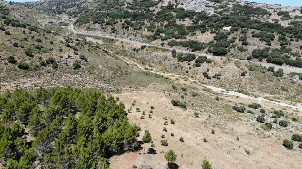 Land Ronda Málaga - Bild 7