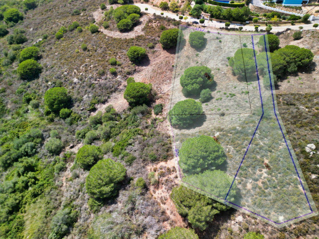 Land Sotogrande Alto Cádiz - imagen 10