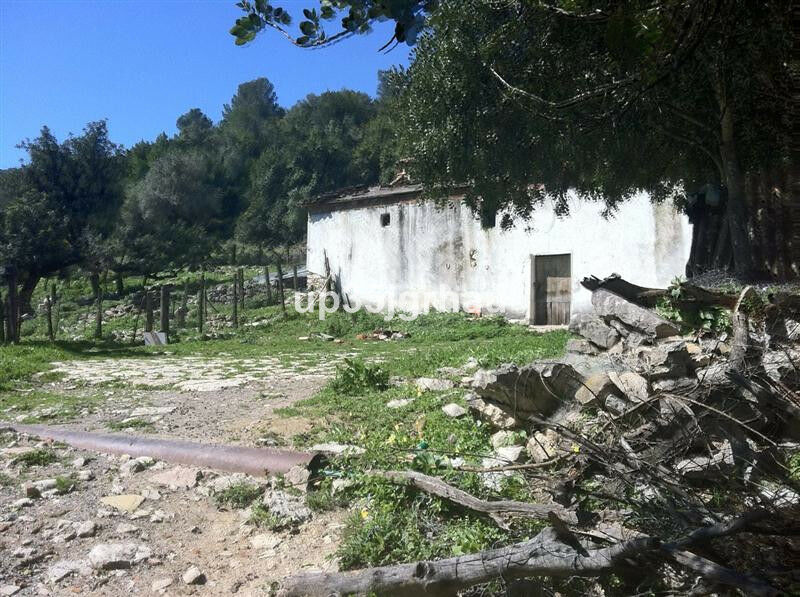 Land Gaucín Málaga - imagen 13