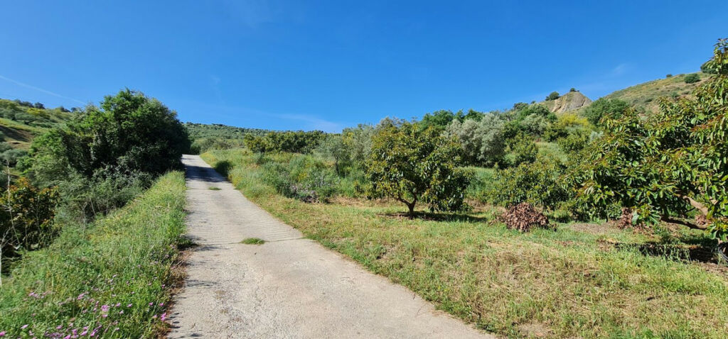 Detached Villa Tolox Málaga - zdjęcie 15