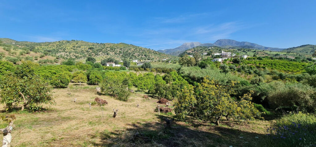Detached Villa Tolox Málaga - zdjęcie 21