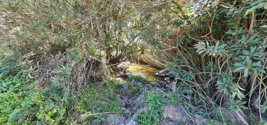 Detached Villa Tolox Málaga - zdjęcie 22